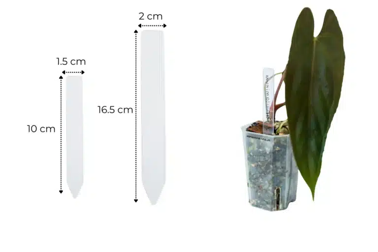 PlantScraper_website_-_2025-03-13T214821.260_e4488834-f66e-4152-8b54-4523d8c93393